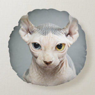 ÄlvaSphinxkatten fotograferar avbildar Rund Kudde