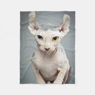 ÄlvaSphinxkatten fotograferar Fleecefilt