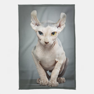 ÄlvaSphinxkatten fotograferar Kökshandduk