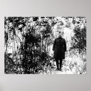 Alvin York Poster