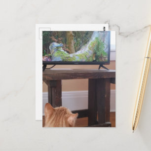 älvlig rödbrun kattunge som tittar på TV Vykort