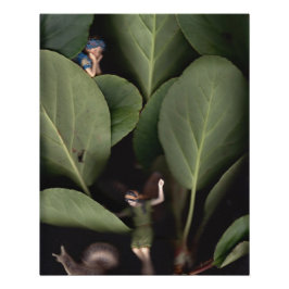 ÄLVOR 7 PERFECT POSTER