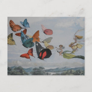 Älvor av fjäril och fjärilar vykort