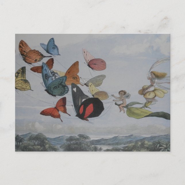 Älvor av fjäril och fjärilar vykort (Framsida)