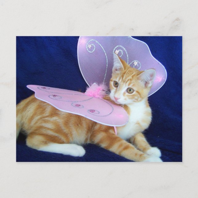 Älvor fly vykort (Framsida)