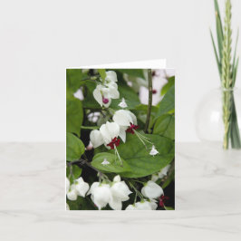 Älvor för skugga i vitt Klockor Kort