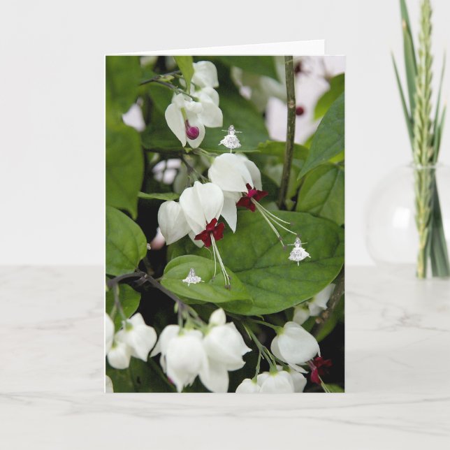 Älvor för skugga i vitt Klockor Kort (Framsida)