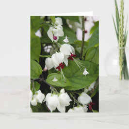 Älvor för skugga i vitt Klockor Kort