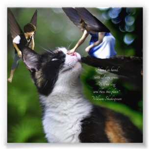 Älvor med Cat William Shakespeare Quote Print Fototryck