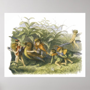 Älvor som spelas med Robin Print av Richard Doyle Poster