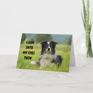 ALVORLIG HUND ÖNSKAR TVILLING HAR GLADASTE FÖDELSE KORT