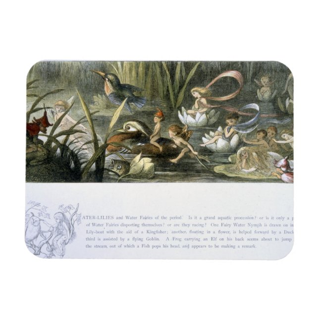 Älvorna vatten-Lilies och Vatten, illustration frå Magnet (Horisontell)