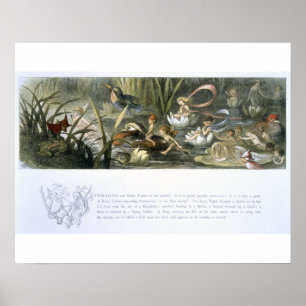 Älvorna vatten-Lilies och Vatten, illustration frå Poster