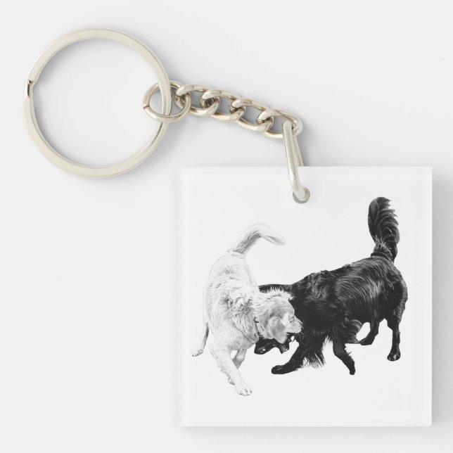 Always In Motion (Framsidan)