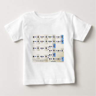 Alxeimia Metin2 T Shirt
