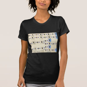 Alxeimia Metin2 T-shirt