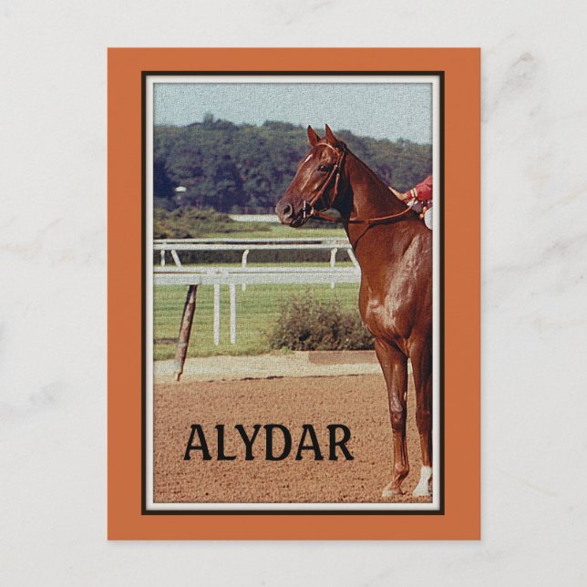 Alydar Belmont Stakes Post Parad 1978 Vykort (Framsida)