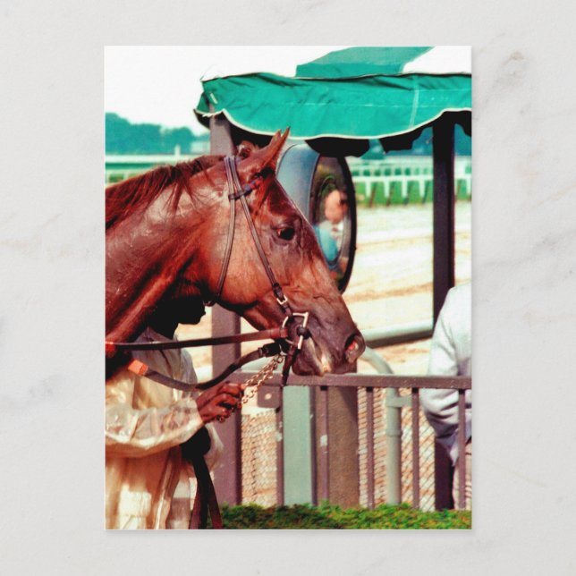Alydar Thoroughborn 1979 Vykort (Framsida)