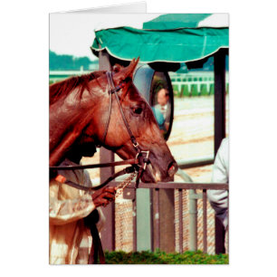 Alydar Thoroughbred 1979 Hälsningskort