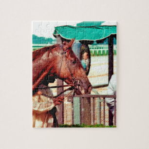 Alydar Thoroughbred 1979 Pussel