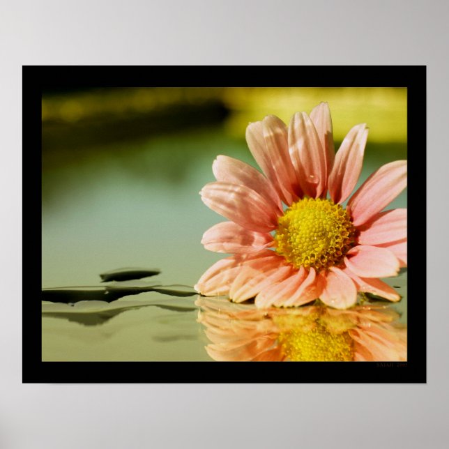 alysia poster (Framsidan)