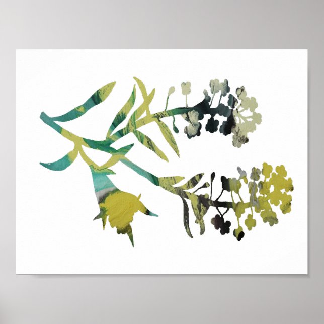 Alyssum Poster (Framsidan)