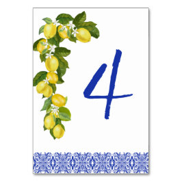 Amalfi Coast I Italian Lemon & Blue Tile Details Bordsnummer