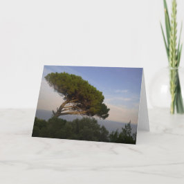 Amalfi-kustens paraplytall, Italien - Kort