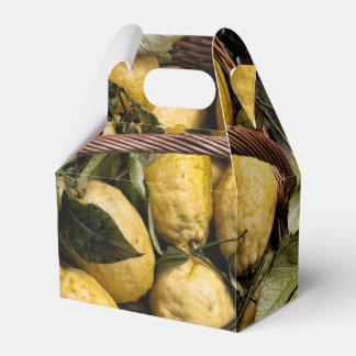Amalfi Lemon Basket Presentaskar