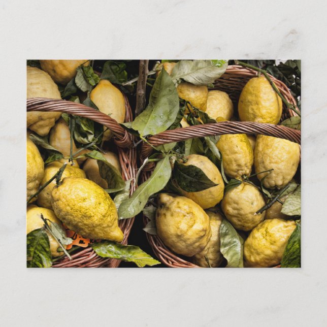 Amalfi Lemon Basket Vykort (Framsida)