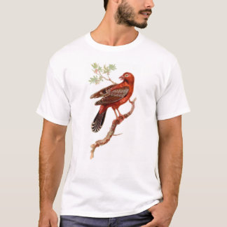amandava på vit t-shirt