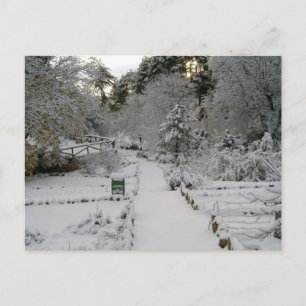 Amanecer Nevado Vykort