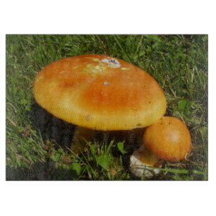 Amanita Caesarea Mushroom Glass Choppboard
