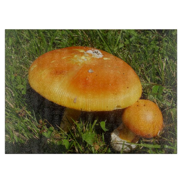 Amanita Caesarea Mushroom Glass Choppboard (Framsidan)