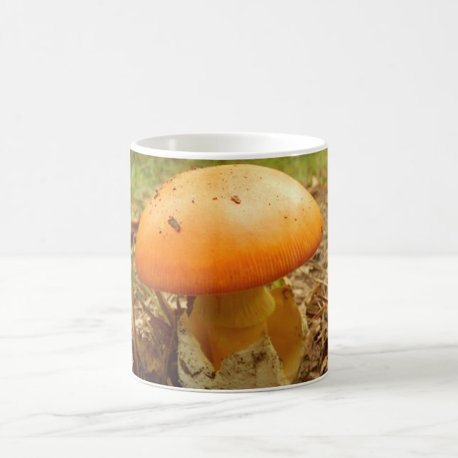 Amanita Caesarea Mushroom Mugg (Center)