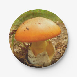 Amanita Caesarea Mushroom Papprare Tallrikar