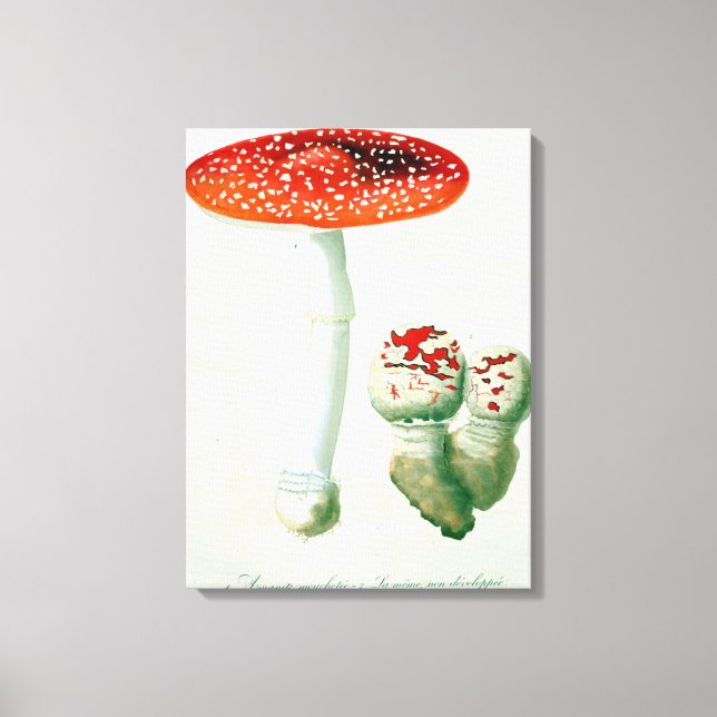 Amanita Muscaria från "Phytographie Medicale" av J Canvastryck (Framsida)