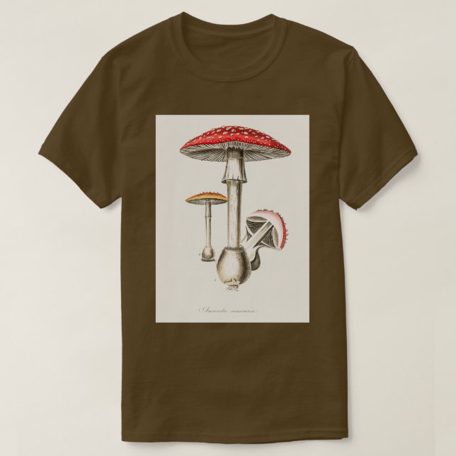 Amanita muscaria illustration från Mediccal Botany T Shirt (Design framsida)