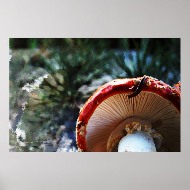 Amanita Muscaria med smög Poster (Framsidan)
