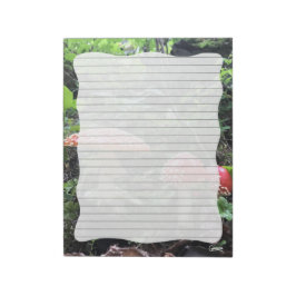 Amanita Muscaria Mushroom - 11 x 8,5-tums Anteckni Anteckningsblock