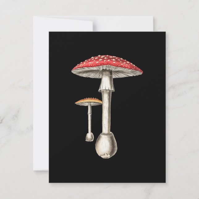 Amanita Muscaria Mushroom Botanical Nature Fungi (Framsida)