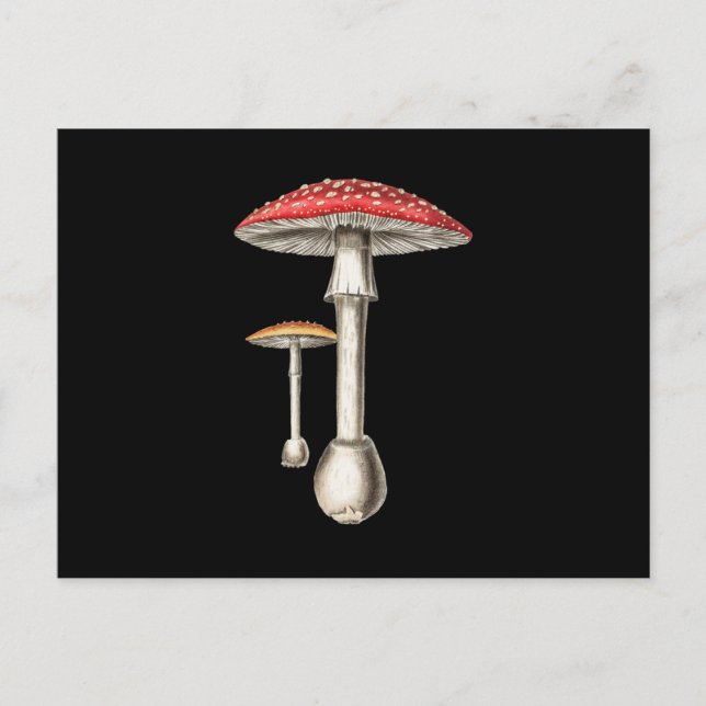 Amanita Muscaria Mushroom Botanical Nature Fungi Inbjudan Vykort (Framsida)