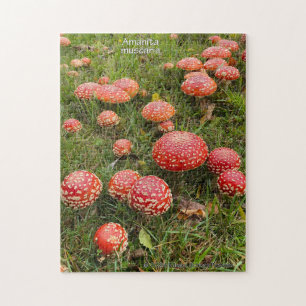 Amanita muscaria svampar - Jigszle Puzzle Pussel