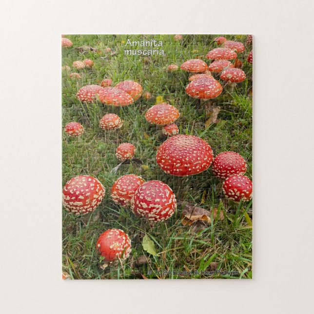 Amanita muscaria svampar - Jigszle Puzzle Pussel (Vertikal)