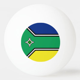 Amapa state pingisboll