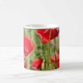 Amapolas Kaffemugg