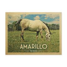 Amarillo Texas Horse Farm-Vintage resor