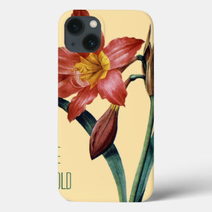 Amaryllis