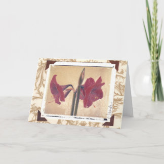 amaryllis_2 helgkort