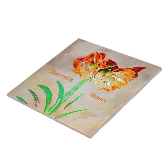 Amaryllis Amore Kakelplatta (Sidan)